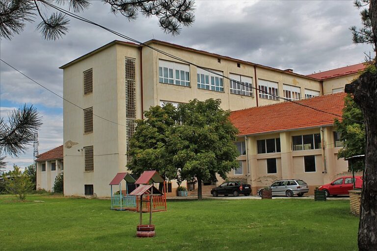 Новогодишна магија за децата на ОУРЦ „Кочо Рацин“ од Битола