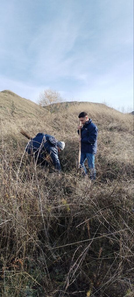 10.000 садници засадени во атарот на РЕК Битола (Фото)