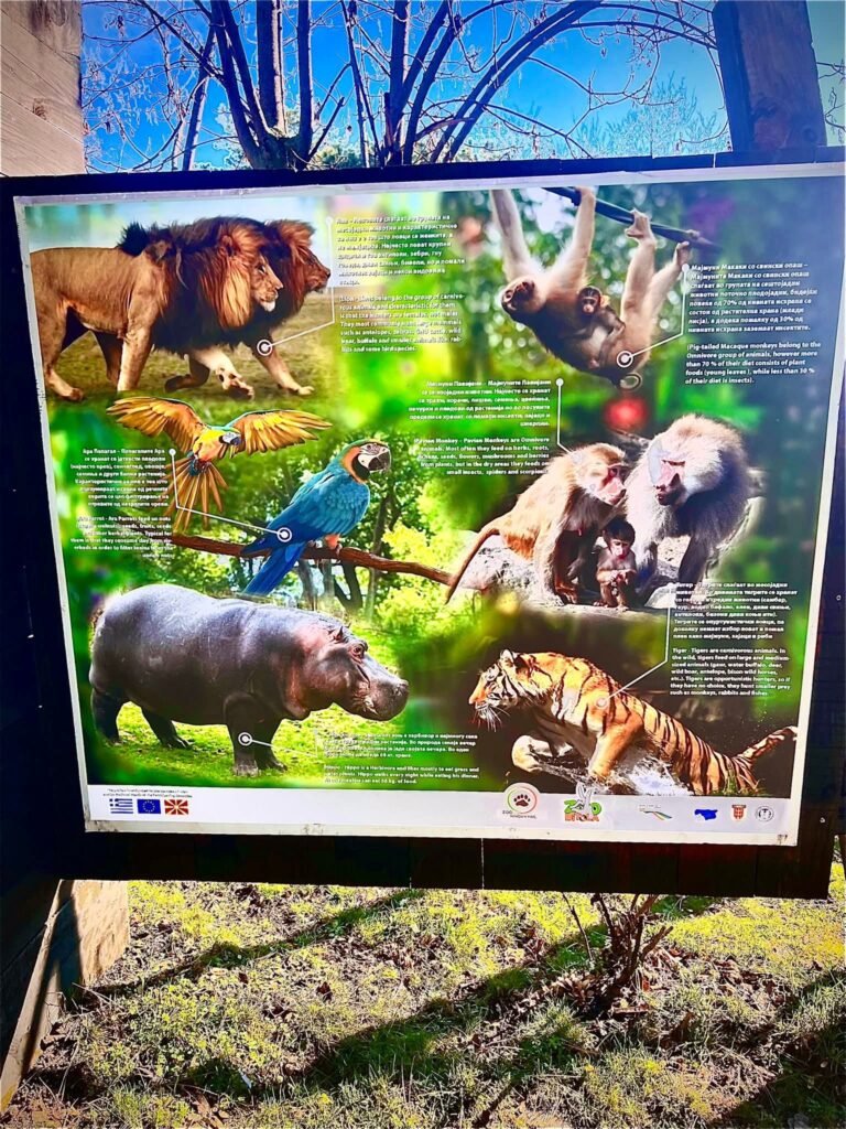 Презентација на националната стратегија за Зоолошки градини во Кино Манаки Битола